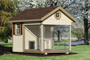 8x10_quality_dog_kennel-887x9999